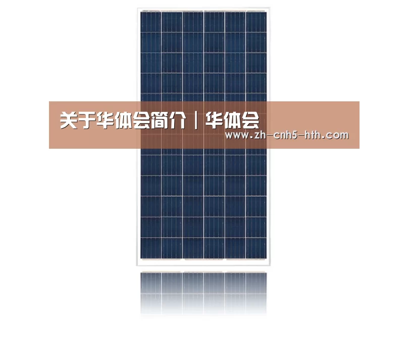 产品名称一