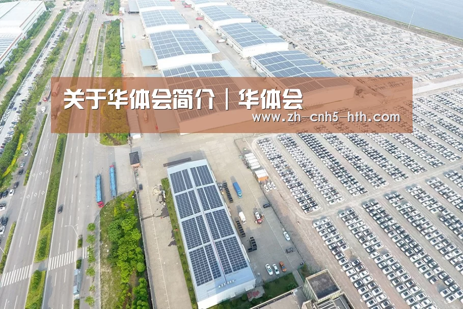 案例展示四