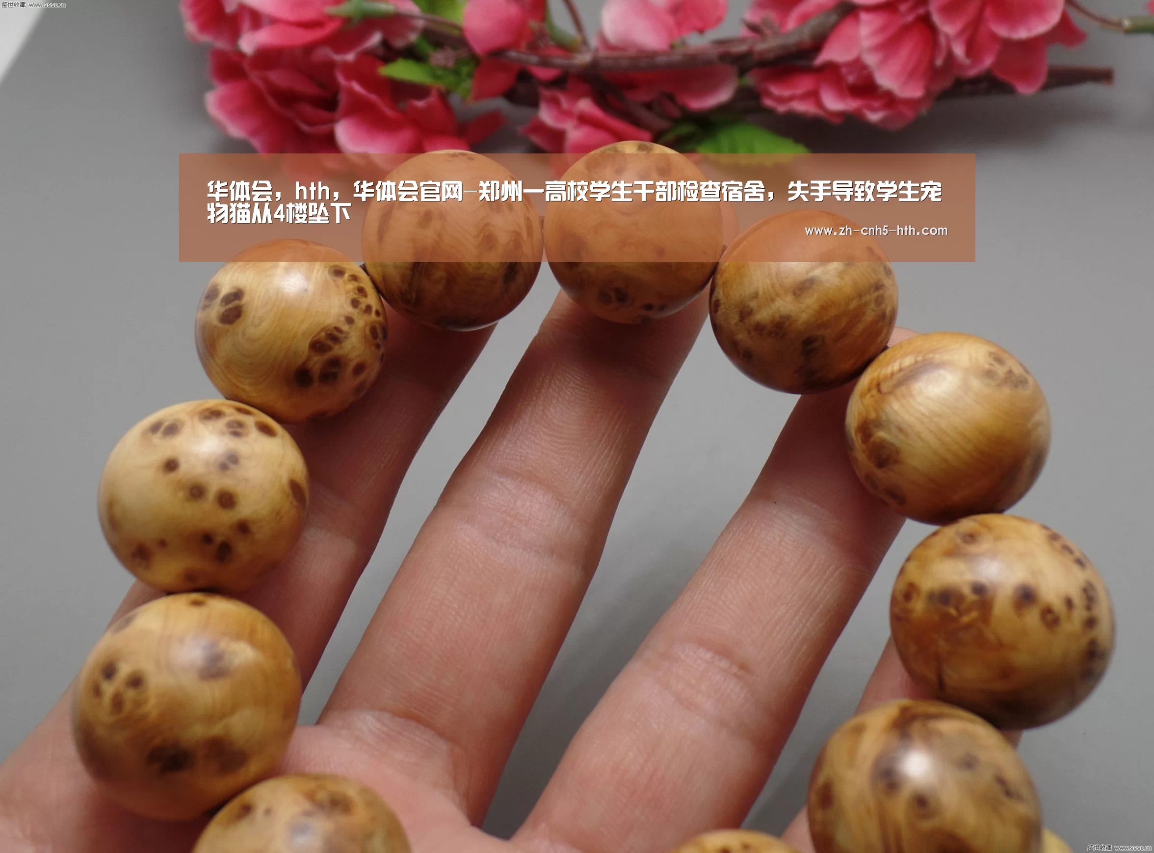 华体会,hth,华体会官网-郑州一高校学生干部检查宿舍,失手导致学生宠物猫从4楼坠下(图4) 华体会,hth,华体会官网