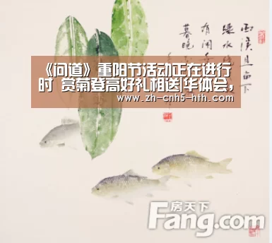 华体会，hth，华体会官网