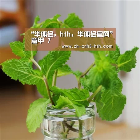 华体会，hth，华体会官网
